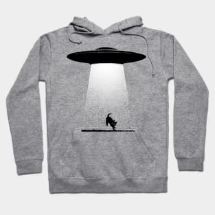 UFO kidnaps a cat Hoodie